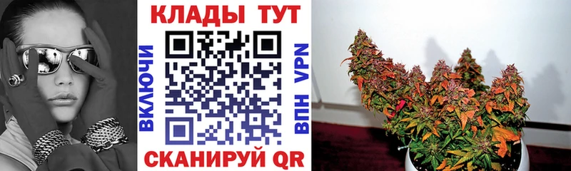 Наркота Тольятти КОКАИН  МЕФ  Галлюциногенные грибы  Каннабис 