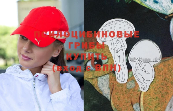 крисы Алзамай