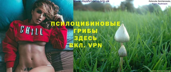 крисы Алзамай