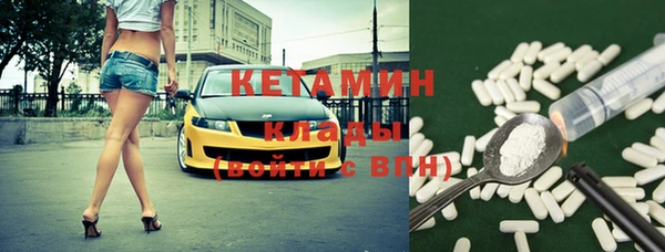крисы Алзамай